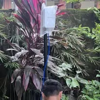 An outdoor access point mounted on a pole among garden plants